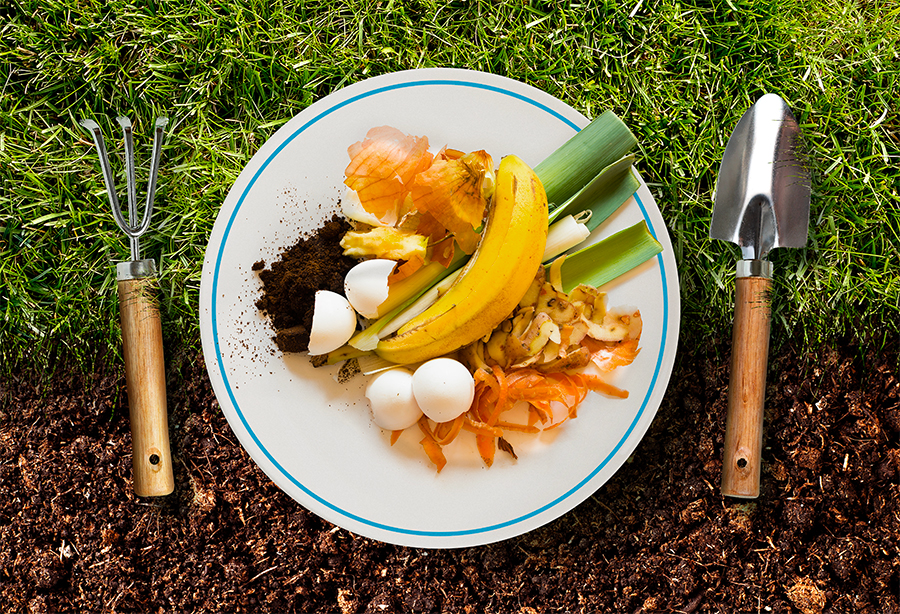 Restes alimentaires à composter